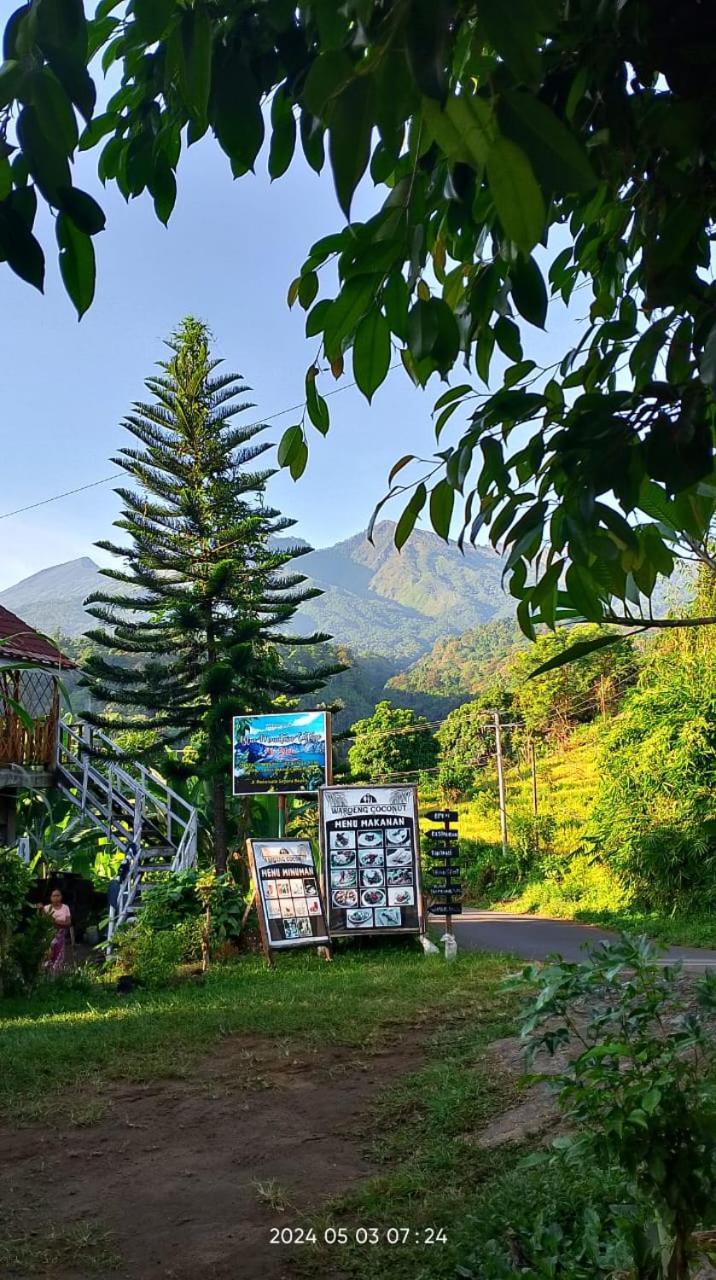 Blue Mountain Cottage Сенару Екстер'єр фото