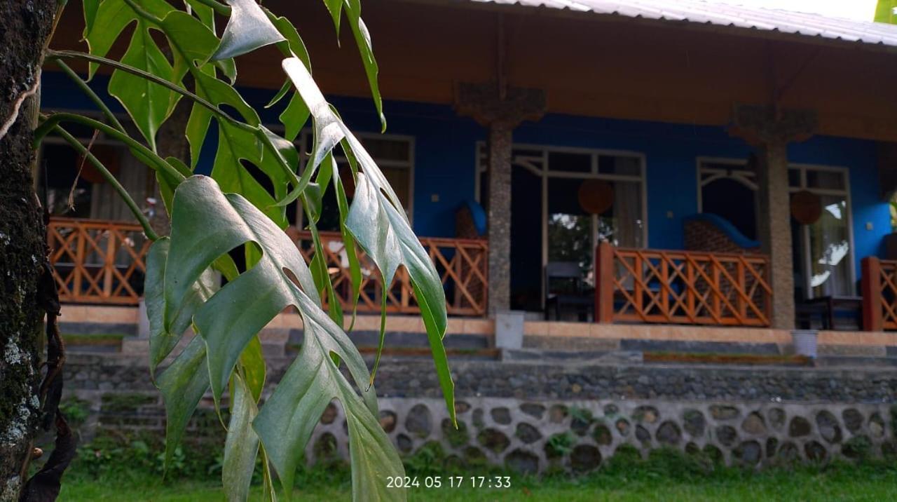 Blue Mountain Cottage Сенару Екстер'єр фото