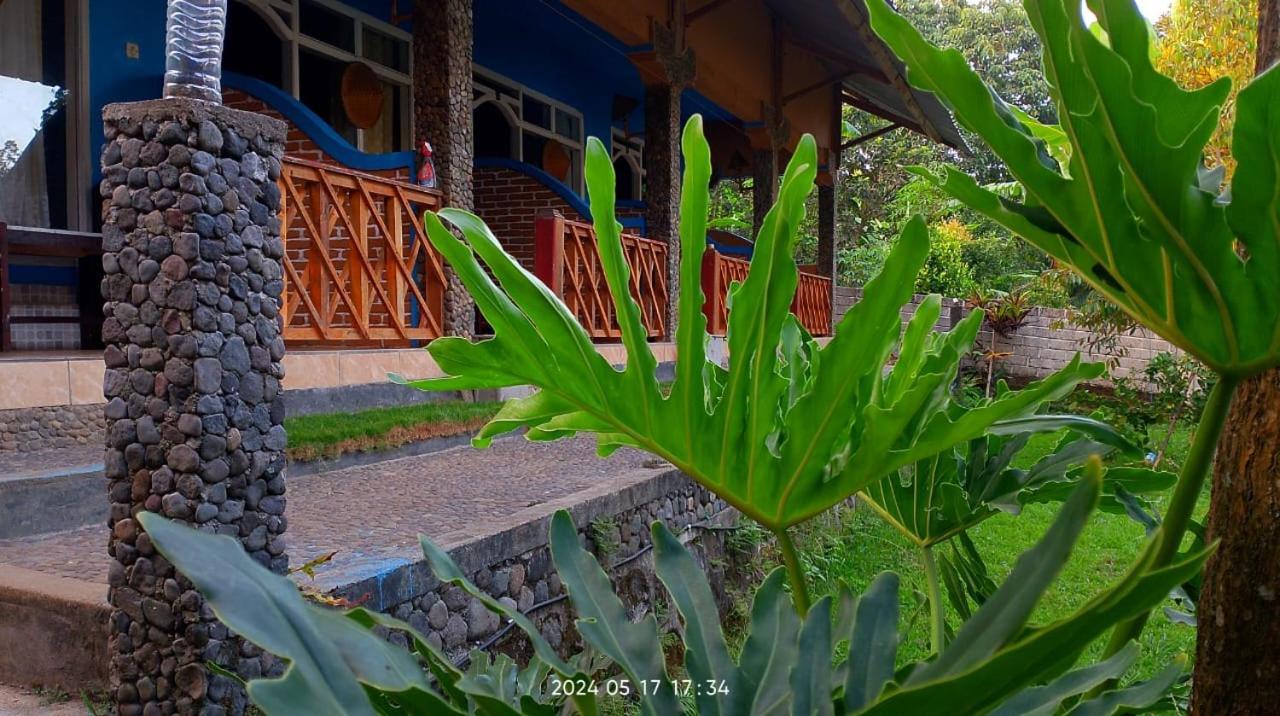 Blue Mountain Cottage Сенару Екстер'єр фото