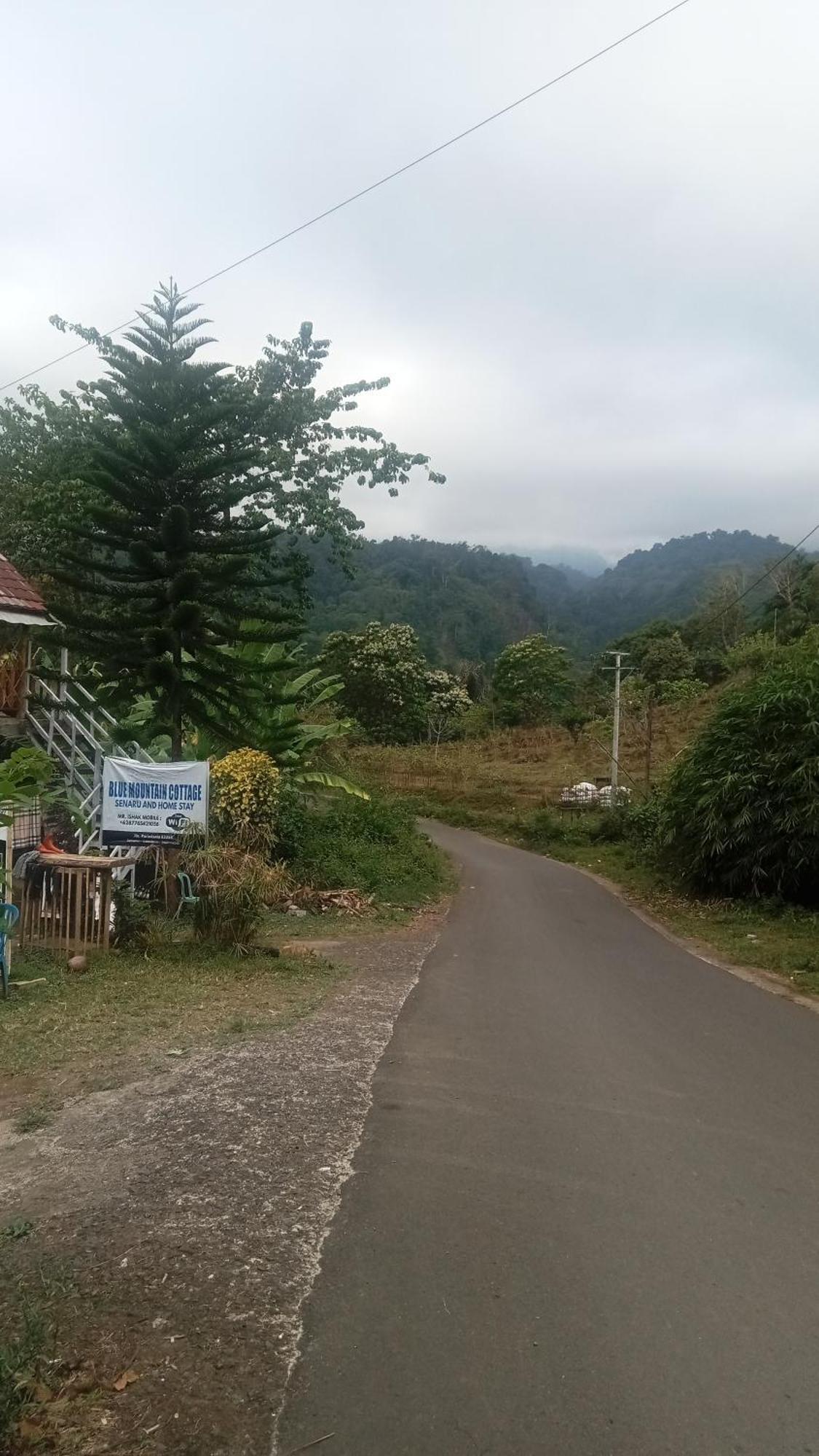 Blue Mountain Cottage Сенару Екстер'єр фото