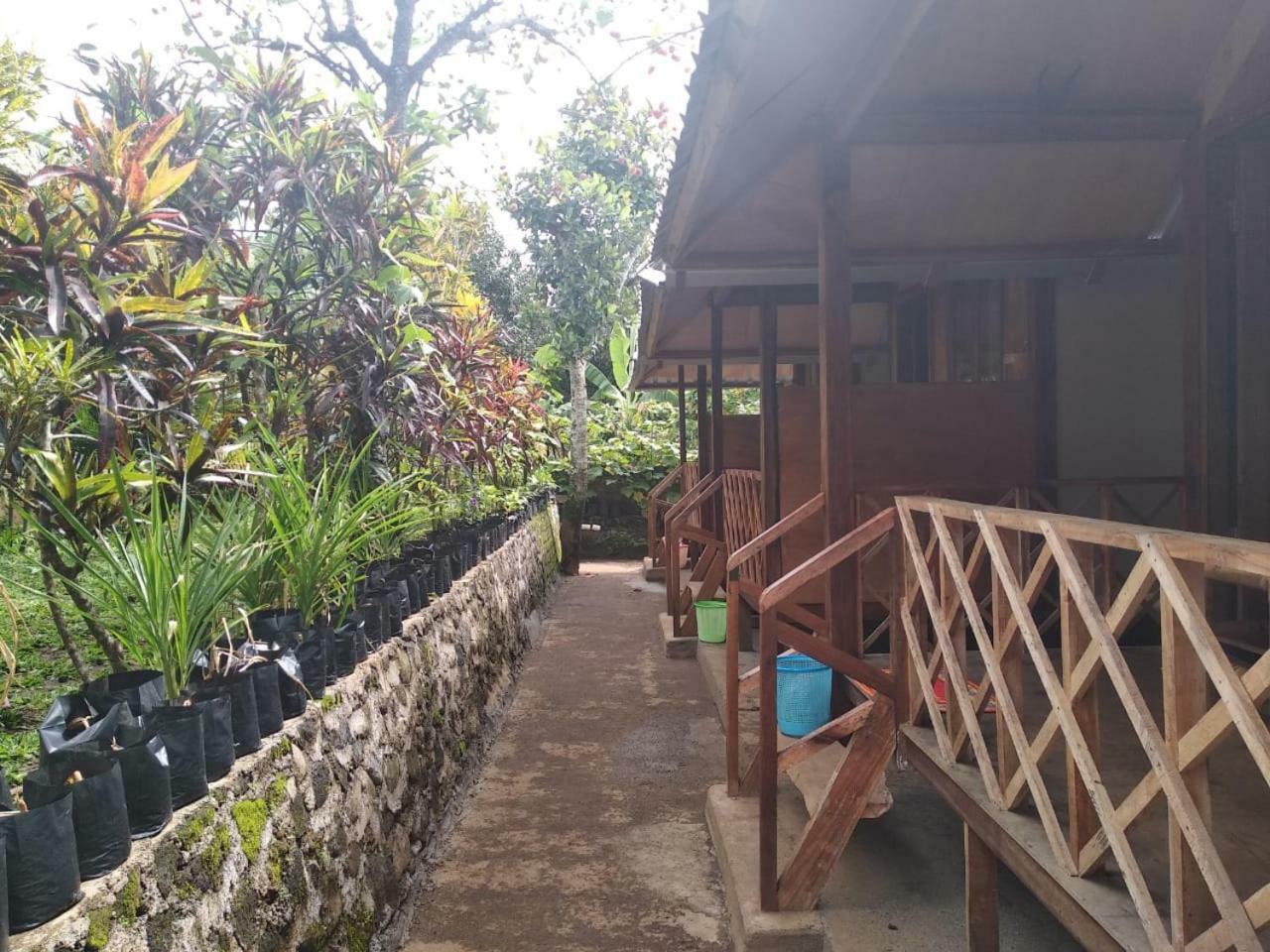 Blue Mountain Cottage Сенару Екстер'єр фото